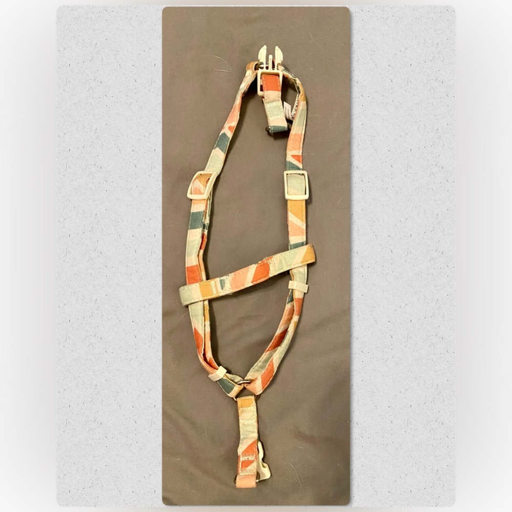 Dog harness.